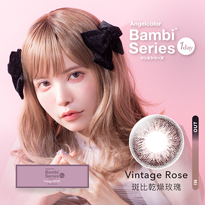 斑比乾燥玫瑰 Vintage rose